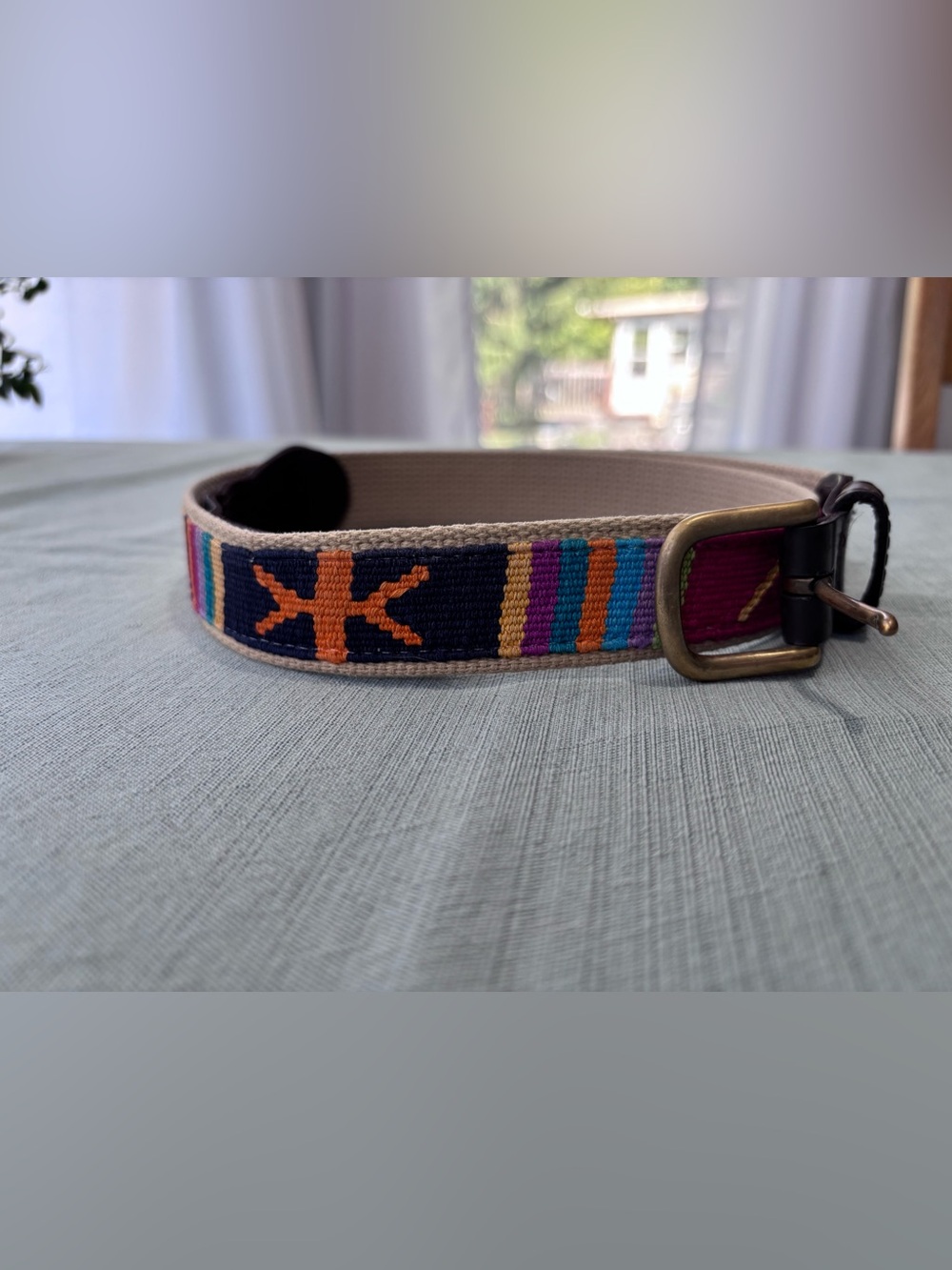 A Tail We Could Wag Navy Woven Belt with Orange, Teal & Purple Accents